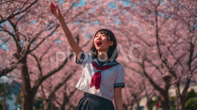 桜並木で手を伸ばす少女 女性,桜,制服の写真素材