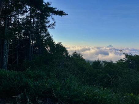 雲海に浮かぶ富士山 雲海に浮かぶ富士山の写真