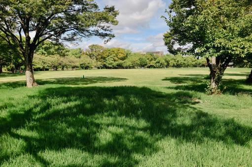 大阪城公園西の丸庭園 大阪城公園,西の丸庭園,自然の写真素材