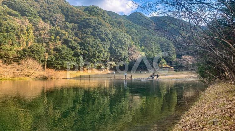 薬王寺水辺公園の風景 公園,自然,水辺の写真素材