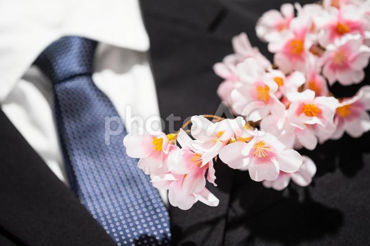 新生活や入社のイメージ（桜） 入社,新生活,桜の写真素材