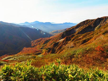 紅葉(雨飾山) 紅葉(雨飾山) 紅葉,秋,もみじの写真素材