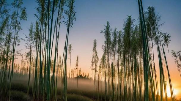 #685 風景 #685 風景の写真