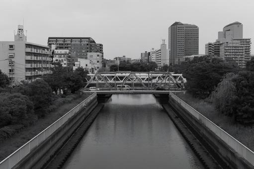 木場公園　モノクロ 木場公園,公園,モノクロの写真素材