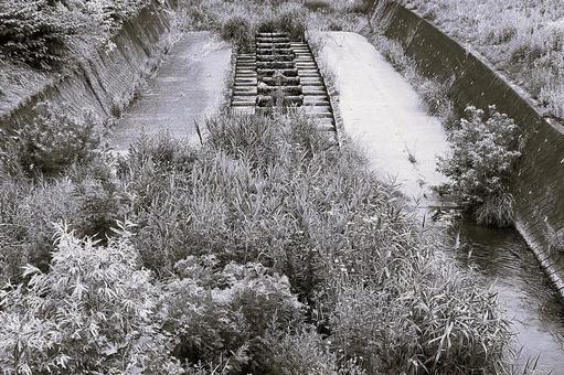 2025年7月の里山8 2025年7月の里山8 用水路,水路,川の写真素材