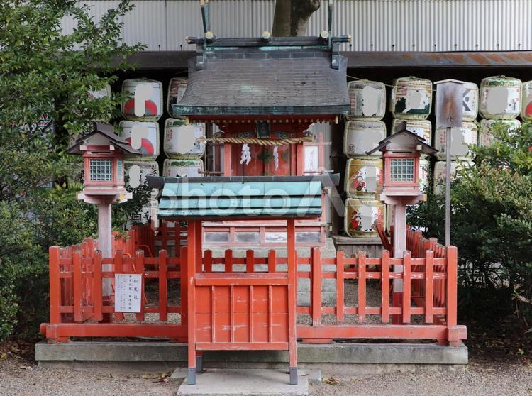 長田神社　松尾社 長田神社,ながたじんじゃ,松尾社の写真素材