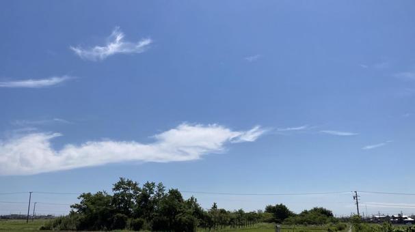 台風一過の青空と平地 台風一過の青空と平地 空,木,雲の写真素材