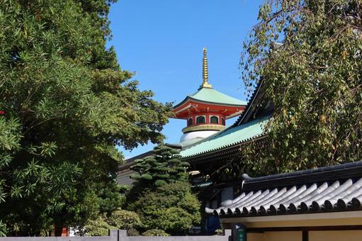 福岡 南岳山 東長寺 五重塔 福岡 南岳山 東長寺 五重塔 福岡,南岳山,東長寺の写真素材