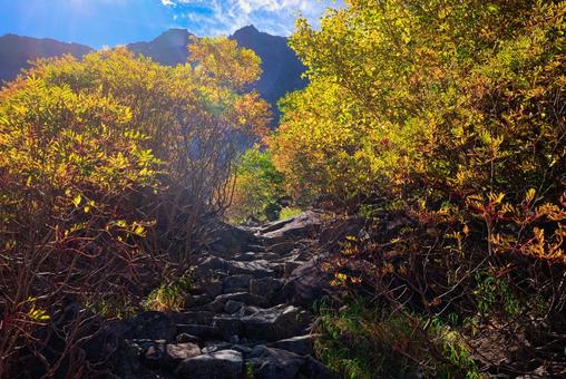 紅葉の北アルプスの穂高連峰の涸沢 紅葉の北アルプスの穂高連峰の涸沢 紅葉,秋,北アルプスの写真素材