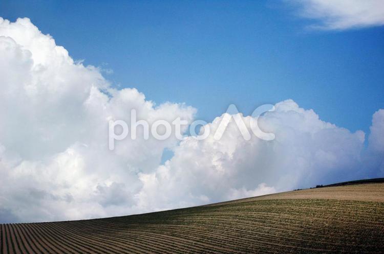 美瑛の畑の向こうに現れた雲 風景,美瑛,青空の写真素材