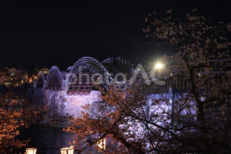 岩国　錦帯橋と桜 錦帯橋,桜,さくらの写真素材