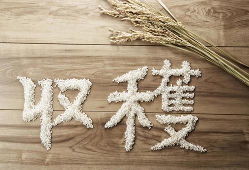 米で『収穫』の文字 米で『収穫』の文字の写真