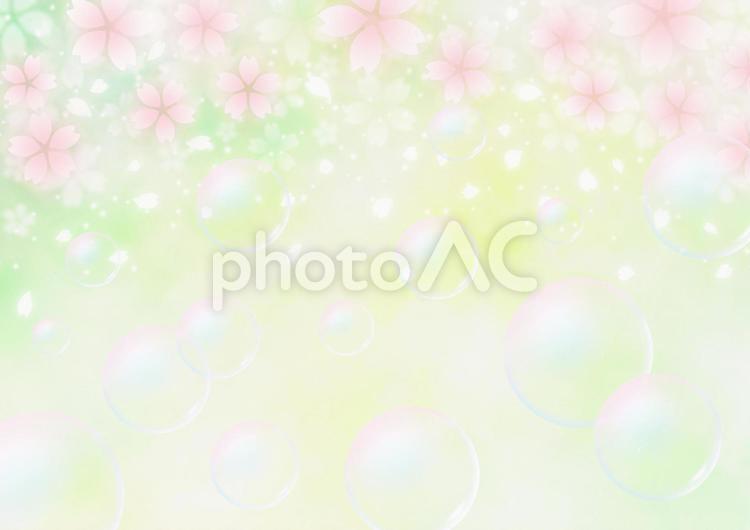 桜とシャボン玉　幻想的な春の背景素材（黄緑色） 桜,桜吹雪,春の写真素材