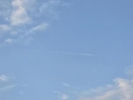 青空と飛行機雲 青空と飛行機雲 空,景色,スカイの写真素材