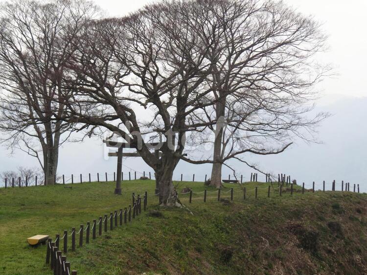 月山戸田城　二の丸 月山富田城,100名城,百名城の写真素材