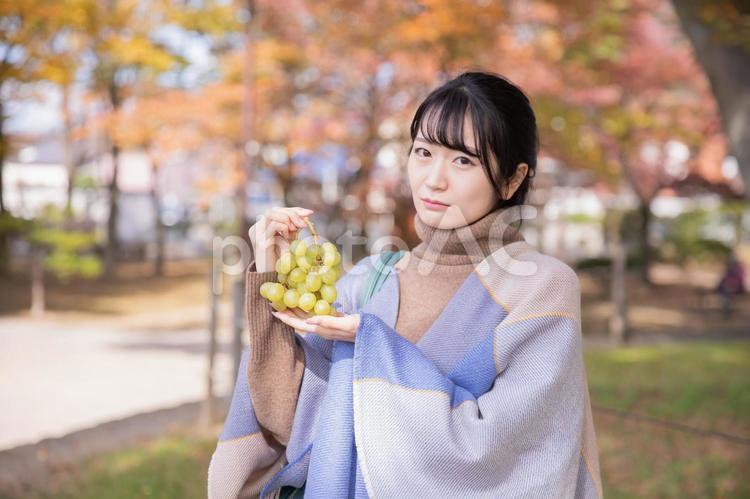 秋の公園でブドウを持つ女性（困る） ブドウ,嫌い,秋の写真素材