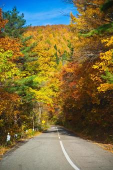 磐梯山の秋 紅葉,秋,山の写真素材
