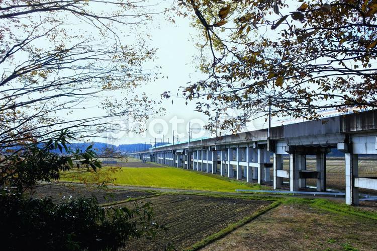 田園と東北新幹線 新幹線,田園,樹木の写真素材