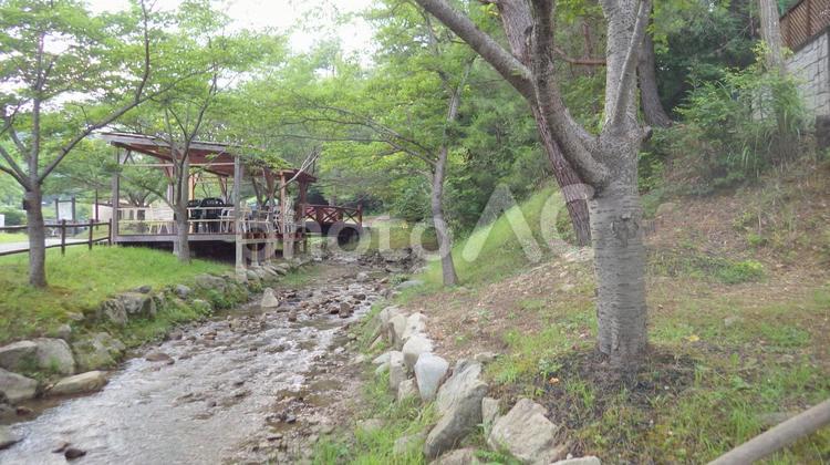 キャンプ場の小川 キャンプ場,木々,休日の写真素材