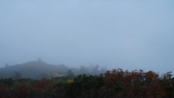 八甲田山の山頂のもや 八甲田山の山頂のもやの写真