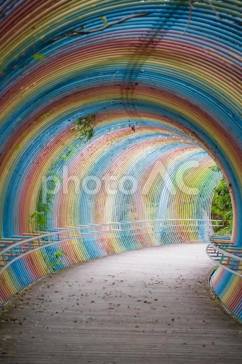 兵庫県　播摩中央公園の風景 播摩中央公園,兵庫,兵庫県の写真素材