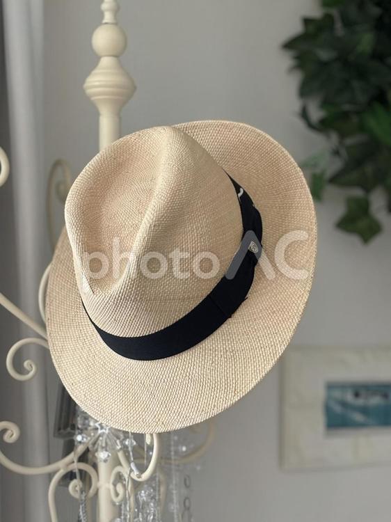 夏　帽子 夏,帽子,パナマハットの写真素材