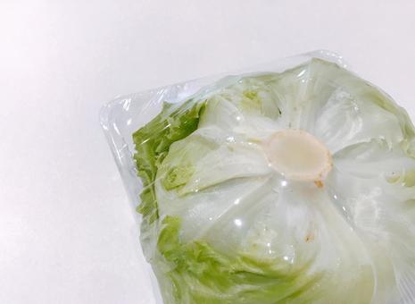 レタス レタス,野菜,やさいの写真素材