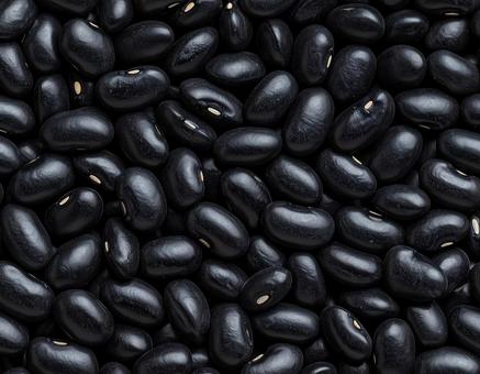 黒いインゲン豆の集合 黒いインゲン豆の集合の写真