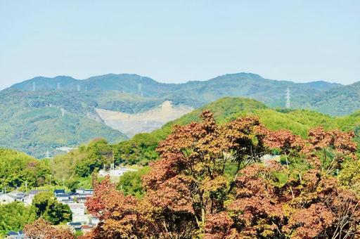 下松市の星塔からのもみじの紅葉 下松市の星塔からのもみじの紅葉 紅葉,もみじ,自然の写真素材