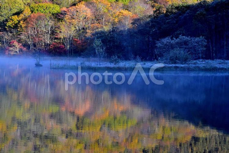 凍れる早朝の鏡池 水鏡,朝霧,紅葉の写真素材