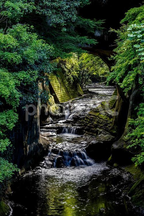 千葉県　農溝の滝・風景 亀岩の洞窟,農溝の滝,滝の写真素材