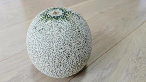 Photo, melon, takami melon, melon mesh, 
