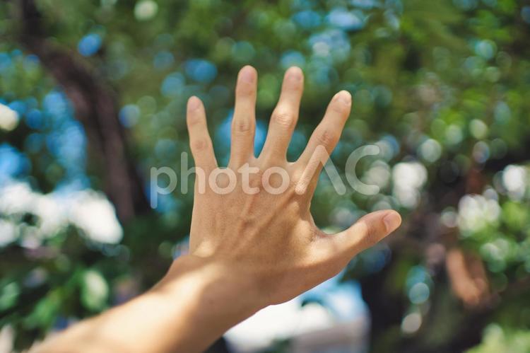 男性の手とぼかし背景 人物,男性,ボディパーツの写真素材