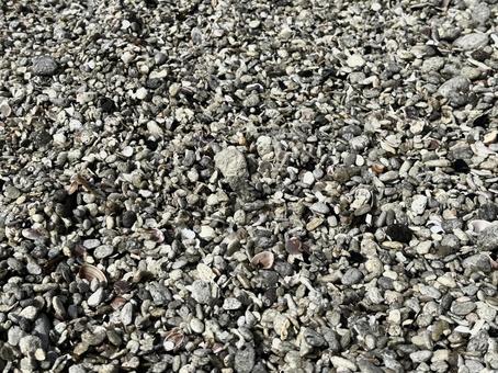 小粒な軽石や貝殻からなる砂浜のアップ 小粒な軽石や貝殻からなる砂浜のアップ 砂浜,海岸,貝殻の写真素材