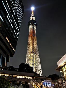Skytree (high contrast), JPG