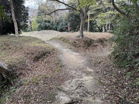 韮山城の二の丸から本丸にいたる土橋 韮山城の二の丸から本丸にいたる土橋 韮山城,土橋,空堀の写真素材