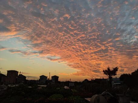夕暮れの空 夕暮れの空の写真