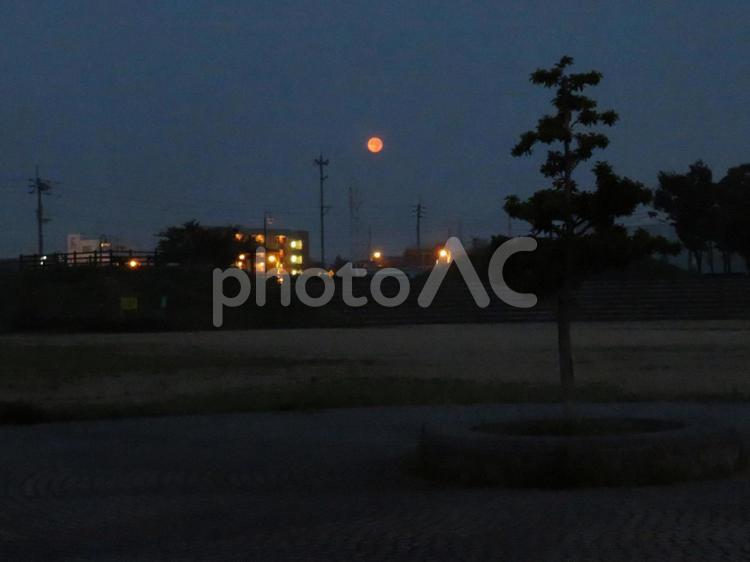 ８月の早朝の満月 背景,満月,月の写真素材