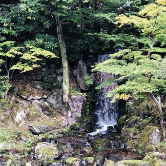 滝 滝の写真