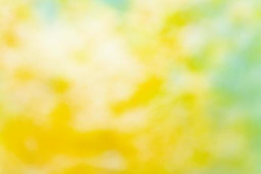 柔らかなグリーンとイエローのぼかし背景 背景,グラデーション,ぼかしの写真素材