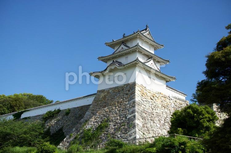 明石城公園の風景 明石城公園,城,天守の写真素材
