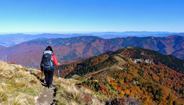 秋の山をトレッキングする女性の写真