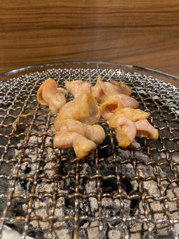 炭火で焼くホルモン 炭火で焼くホルモンの写真