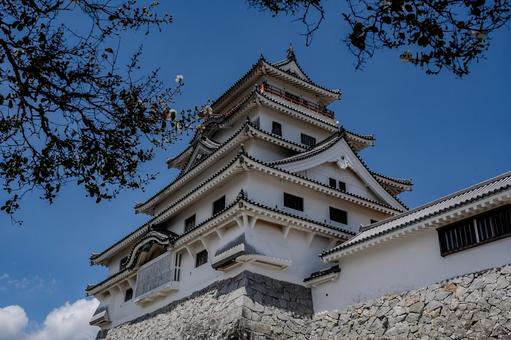 唐津城 唐津城,castle,城の写真素材