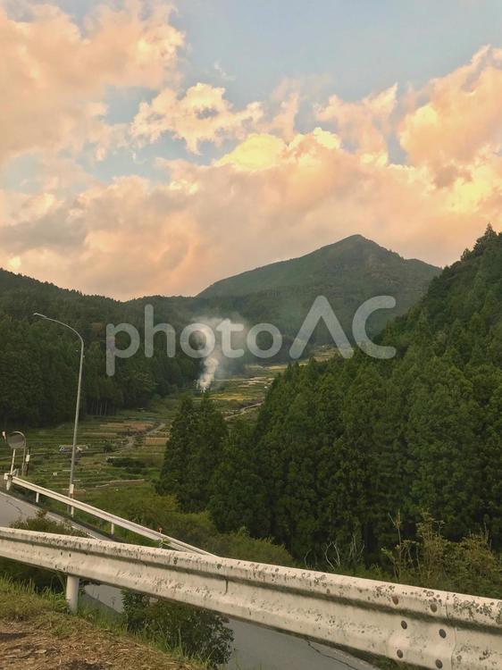 新城　四谷千枚田 愛知,棚田,日本の原風景の写真素材