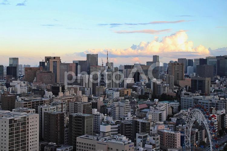 東京の風景と夏の雲 東京,展望台,空の写真素材