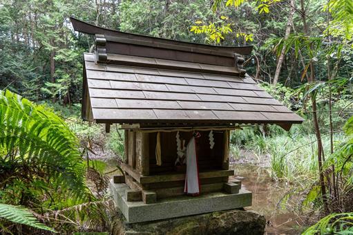 滋賀 大笹原神社 寄倍の池 社殿 滋賀 大笹原神社 寄倍の池 社殿 大笹原神社,大笹原,神社の写真素材