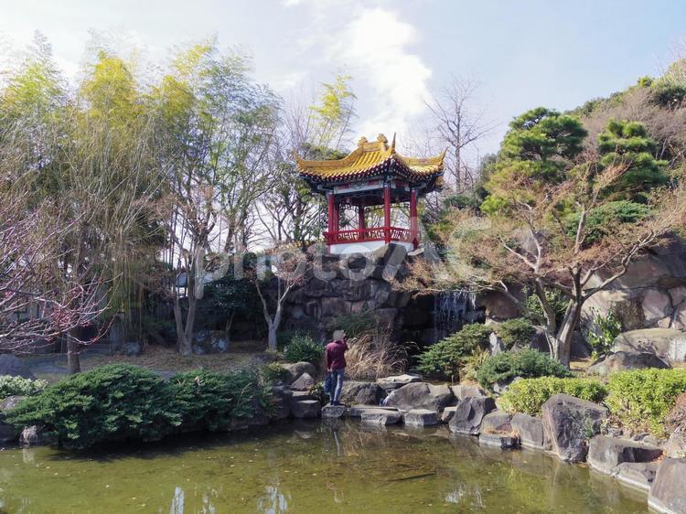 【神奈川県】川崎市・大師公園の瀋秀園 瀋秀園,大師公園,中国式庭園の写真素材