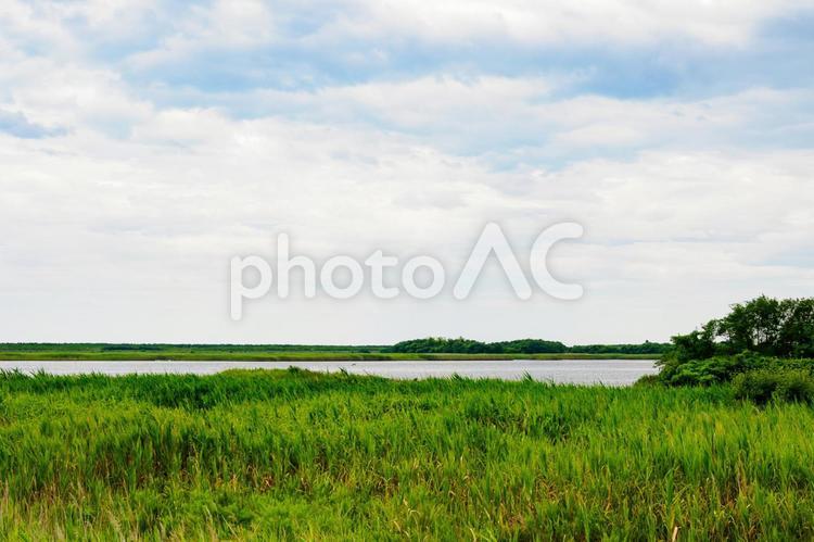 沿岸部の風景(38) 名取市,沿岸部,被災後の写真素材