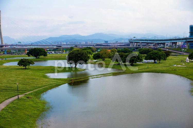 河川沿いの広大な広場の風景 河川,芝生,大きな木の写真素材